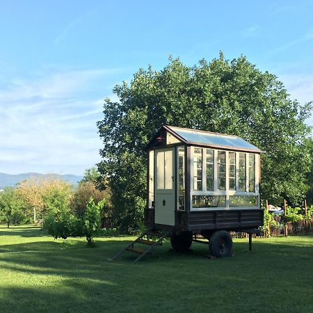 Agriturismo Poggio Salvi Sovicille Eksteriør billede