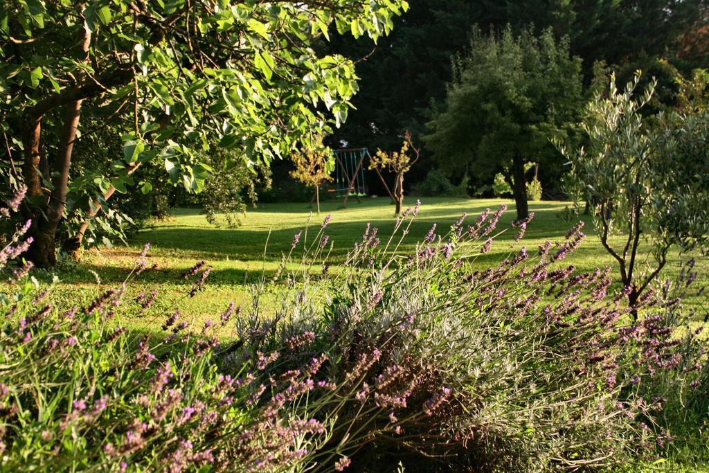 Agriturismo Poggio Salvi Sovicille Eksteriør billede
